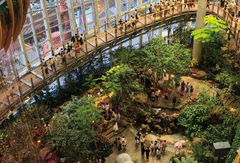 【观川剧+游光环】重庆市区山城漫游一日游【[优选车型]正规旅游资质车队,舒适安全双保障，35年重庆5A旅行社,为您的行程保驾护航】