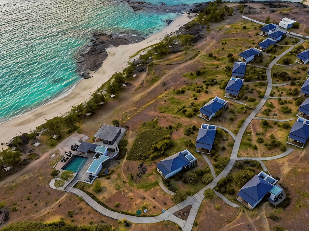 Roche Bon Dieu-Trefles酒店住宿-Constance Tekoma