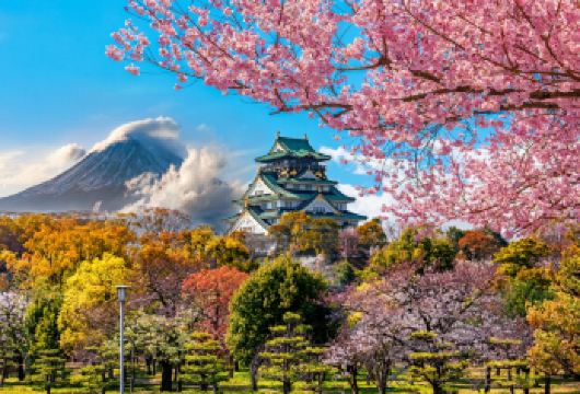 日本关西大阪定制包车游【可定制大阪京都奈良神户宇治等多地】【私人定制包车游 无语言沟通障碍 日本全境均可定制包车】