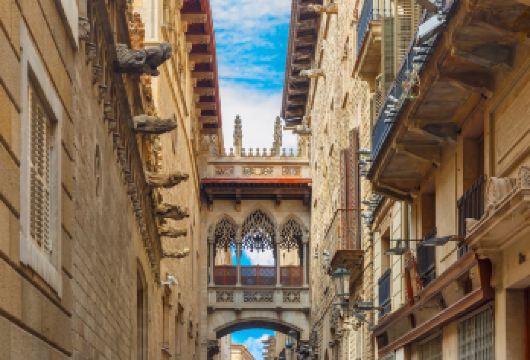 西班牙巴塞罗那哥特区+兰布拉大道+哥伦布纪念碑+旧港一日游【巴塞罗那老城区一日游[中文司导+独立包车+行程灵活]】