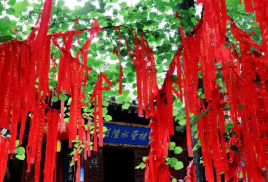 悟真寺+水陆庵+王顺山纯玩轻松追寻黑悟空（2-6人团）一日游【我们承诺一价全含，全程不推荐任何自费购物点，畅享旅程！】