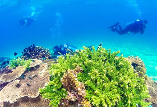 分界洲岛户外买一送一丨含门船票+玻璃船+浮潜【线路特色：上岛自由活动，多套餐可选，嗨玩海岛！】