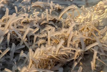 西安纯玩一日游【壶口瀑布+黄帝陵·轩辕庙+北京知青旧居】【去感受母亲河上的金黄色大瀑布—黄河壶口瀑布】