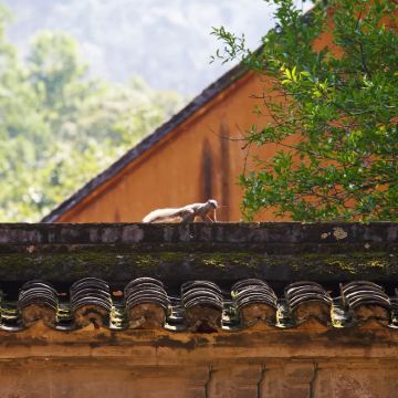 天台山大瀑布+国清景区+琼台仙谷/天台上门接送【包车游】