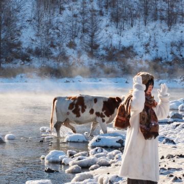 阿尔山国家森林公园一日游【不冻河丨蓝房子丨乌苏浪子湖】