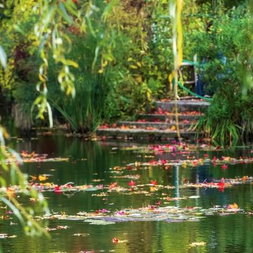 巴黎包车一日览尽吉维尼：莫奈花园+博物馆+小镇风光不含门票