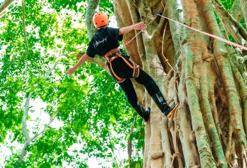 基诺山巴朵村雨林徒步一日游【高端线路+土著向导+项目全含】【[优选线路向导]优选基诺山巴朵村徒步线路，公司深度开发，优秀基诺山优质向导讲解带队！】