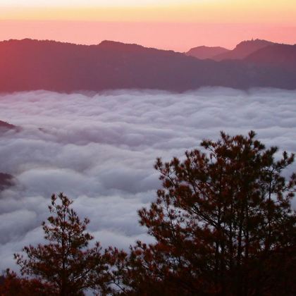 台湾阿里山国家风景区+阿里山国家森林游乐区一日【嘉义出发&】