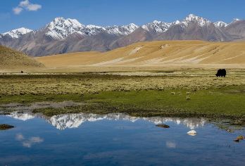 青甘日游包车/多日定制 岗什卡雪峰+祁连大草原+俄堡草原牧场【青甘地区景点，顺序可调】