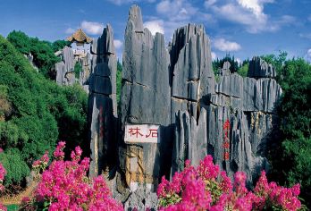 【纯玩无购物 | 导游讲解】昆明石林风景区+滇池一日游【[优选行程]暖心导游讲解，真纯玩无购物。】