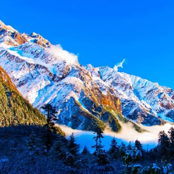 海螺沟冰川森林公园【包车出行、上门接送、拍一份就是一辆车】