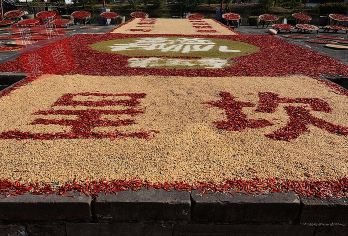 呈坎半日游|16人精品小团/上门接送/深度呈坎晒秋/2人起订【《偶像来了》+《爸爸去哪儿》热门综艺拍摄地；】