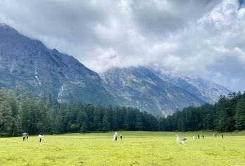 丽江玉龙雪山（云杉坪+蓝月谷）一日游【纯玩/日照）】【[安心出行]系统保票提前两天12：00下单，保证有票。】
