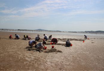 青岛崂山风景区+崂山仰口游览区+崂山九水游览区+仰口沙滩一日【[特别精致]崂山特色线路，选择多~满足不同需求，景点涵盖超舒心~】