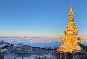 峨眉山+大佛之旅|可选峨眉采茶体验及租车【峨眉特色有机雪芽茶，工厂参观、采茶、制茶体验、茶艺欣赏、品茶休闲 乘船游览乐山大佛全景 登上峨眉山金顶，瞻仰普贤菩萨全身像】