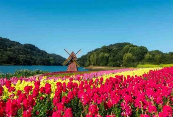 广州从化石门国家森林公园一日游石门公园天池花海南平摘荔枝水果【[私家旅行]一单一团，不拼客，畅享专属旅行！5/7座车上门接送，专职司机护航！[欢迎包团]可为公司出】