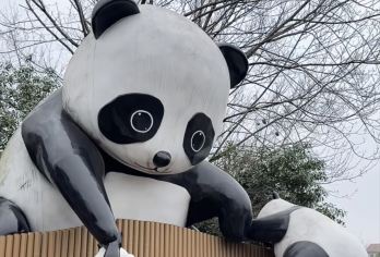 熊猫乐园+都江堰一日游【纯玩小团/三环内上门接送/看熊猫】【[关于我们]私家小团，品质服务，带您解锁都江堰美食和美景】