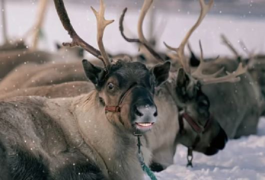 索玛若伊包车：北极大教堂·特罗姆瑟·索玛若伊岛【无需为交通烦恼，舒适专车全程接送，行程灵活自由，随心掌控游览节奏，沉浸式感受挪威风情。】