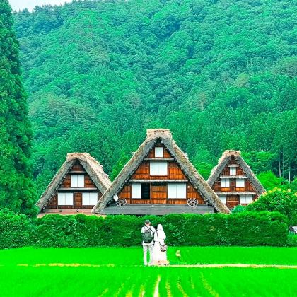 白川乡合掌村+飞驒高山一日游|可选9人小团酒店接驳名古屋出发