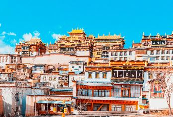 香格里拉松赞林景区一日游（门票+电瓶车+讲解+往返车） 【独立包车纯玩 一单一团 专车接送】