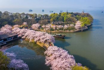 无锡鼋头渚+太湖游船+拈花湾一日游【泛湖山水&拈花日夜游】【[花海季]：走进梦幻花海季，两大网红花海打卡拈花湾&鼋头渚，花漫锡城，赏花推荐！】