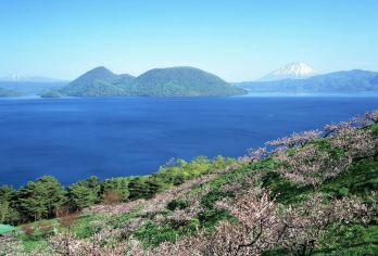 日本北海道-札幌往返-美瑛-富良野-旭川-红叶/冬季必打卡【专业行程定制，精选热门景点，高效游玩不走回头路，贴心服务保障，轻松】
