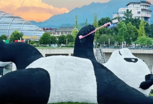 成都出发+青城山+都江堰包车一日游【年水利工程+川西建筑与美食】