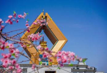 法门文化景区+乾陵+茂陵博物馆一日游【学生专享套餐】【[亮点1]赠送懿德太子墓， 全程纯玩无购物，亲身到达墓道，寻幽探古，感受不一样的体验】