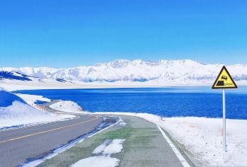 新疆赛里木湖+果子沟大桥一日游【包车游+含车辆进入环湖】【[包车优选]当地专业司机带队，免去攻略时间；】