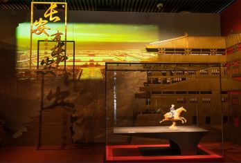 【西安博物馆】文史大咖讲解 /人工2.5H/ 可选上下场【含预约+讲解 免去抢票苦恼】