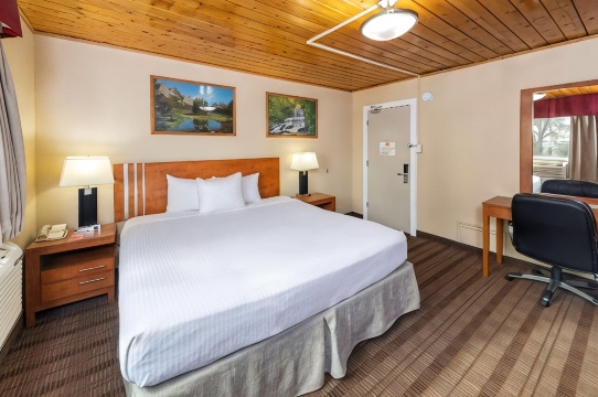 梅迪辛哈特伊克诺旅馆及套房-官方