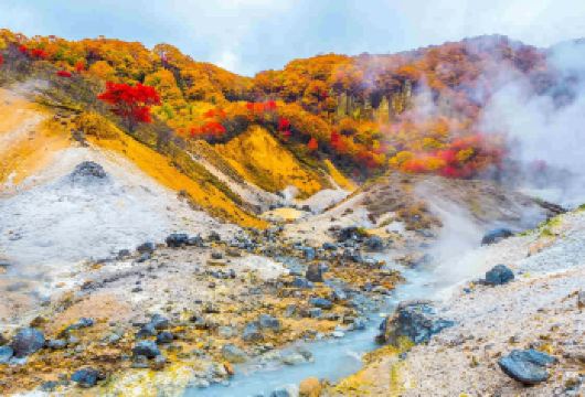 日本北海道札幌-登别地狱谷+熊牧场+洞爷湖|包车出行【火山雪湖之旅--打卡著名温泉乡，观最北不冻湖】
