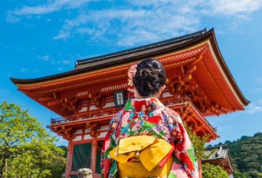 大阪京都奈良9人精品小团 投食萌鹿 邂逅艺伎 中文服务【9人内精品小团，可上门接送，中文司导服务】