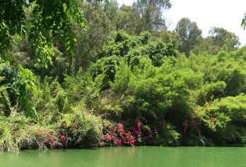 三亚南山文化旅游区一日游【大团一日游，拜南海观音】【海南深度游先行者，售前售后优质服务，让您出行无忧】