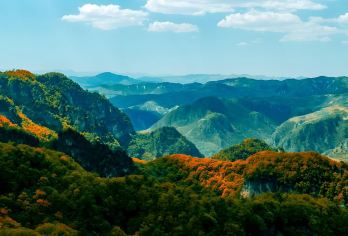 商洛棣花古镇+秦岭金丝大峡谷【2-6人团】纯玩一日游【景区门票全含，景区游览时间充足，旅途行程自由，真纯玩，无套路，无任何强制消费，享受美好惬意旅行。】