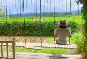 云南中国科学院西双版纳热带植物园+曼远村一日游-独立用车【[品质保障]一单一团，全程只为您服务不论您多少人，司机、用车、游玩等全程都是为您服务】