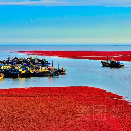 【世界红色海岸线】盘锦红海滩国家风景廊道一日游