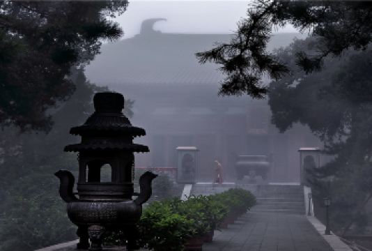 锦州奉国寺+万佛堂+安泰门一日游【往返车费+中餐+导游保险】【[安全出行]正规空调旅游巴士，座椅舒适，保证每人一正座。】