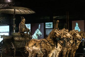 【兵马俑+华清宫】纯玩 一日包车游（可选车型）【专业导游 深度讲解 可独立讲解】