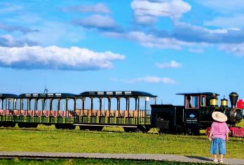 内蒙辉腾锡勒草原+黄花沟一日游【大同VIP包车往返赠瓶装水】【一车一洗，车辆干净无异味，行程可调整为乌兰哈达火山一日】