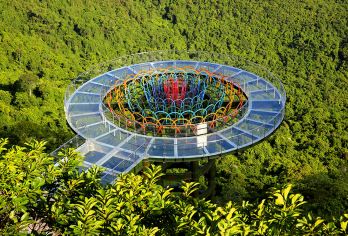 【错峰出游】三亚亚龙湾热带天堂森林公园+沙滩纯玩丨可选项目【[免税福利]下单可赠送免税店代金券，具体可联系在线客服，送完即止；】