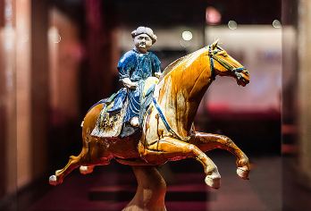 西安博物院小雁塔一日游含预约大咖深度讲解可选8人小团【[品质服务]全程纯玩 没有任何购物及自费，还原旅游本质让您出行无忧。】