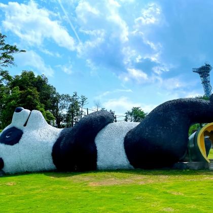 快乐直达天际——莫干山天际森谷网红嗨翻一日