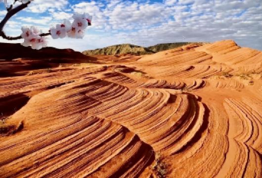 【包车游】波浪谷火焰丹霞+赤壁丹霞+火焰丹霞一日游【自由舒适/独立出行】