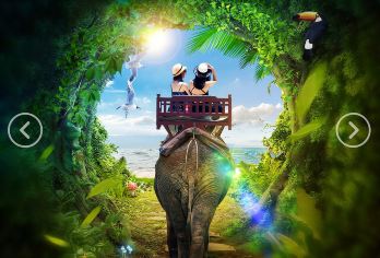 望天树景区一日游【热带雨林+漫步空中树冠走廊+南腊河游船】【[品质保障]豪华旅游大巴，真皮座椅空间大，正规运营资质，保证一人一座位。】