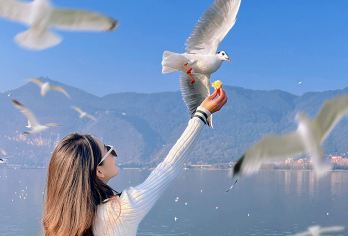 石林+滇池包车一日游：三环内免费接送+一单一团+纯玩无购物【[实力保障]昆明一日游集团品质严选线路，拥有自己的车队、导游、司机，全程品质把控，专业一手资源】