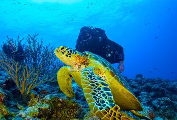 仙本那跳岛游 马达京汀巴汀巴邦邦岛一日游浮潜/深潜潜水半日游【中文导游，沟通无障碍】