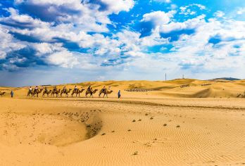 内蒙古呼和浩特+库布齐沙漠一日游【一价全含+纯玩无购物】【[打卡网红地]：原生态沙海——库布齐沙漠】