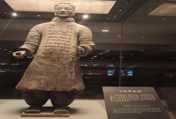 西安兵马俑+华清宫一日游【丽山园+铜车马‖大咖讲‖特色陕菜】【[亮点1]西安三环内上门接早，免去您烦恼，VIP头等舱大巴为您的旅程保驾护航，舒适的旅行从用车开始！】