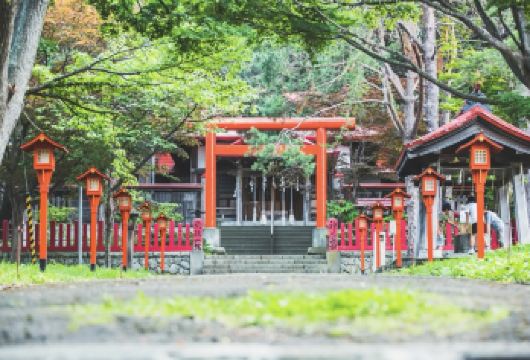 日本札幌定山溪-伏见稻荷大社-大通公园【北海道中文专车】【中文专车出行，景点灵活调整，打卡经典，游玩自己定义，无需等待，专属贴心服务，尽享惬意旅程】